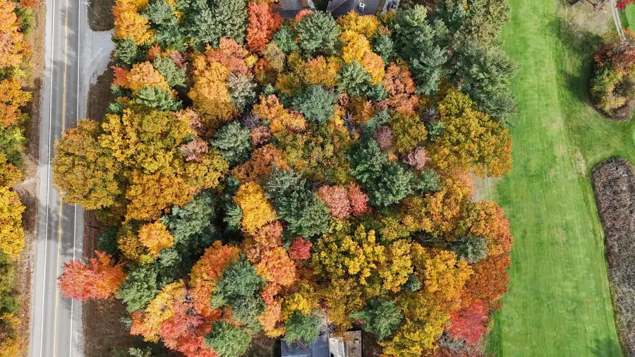 Lot 11 N Country Club, Leland, MI 49654 - #3