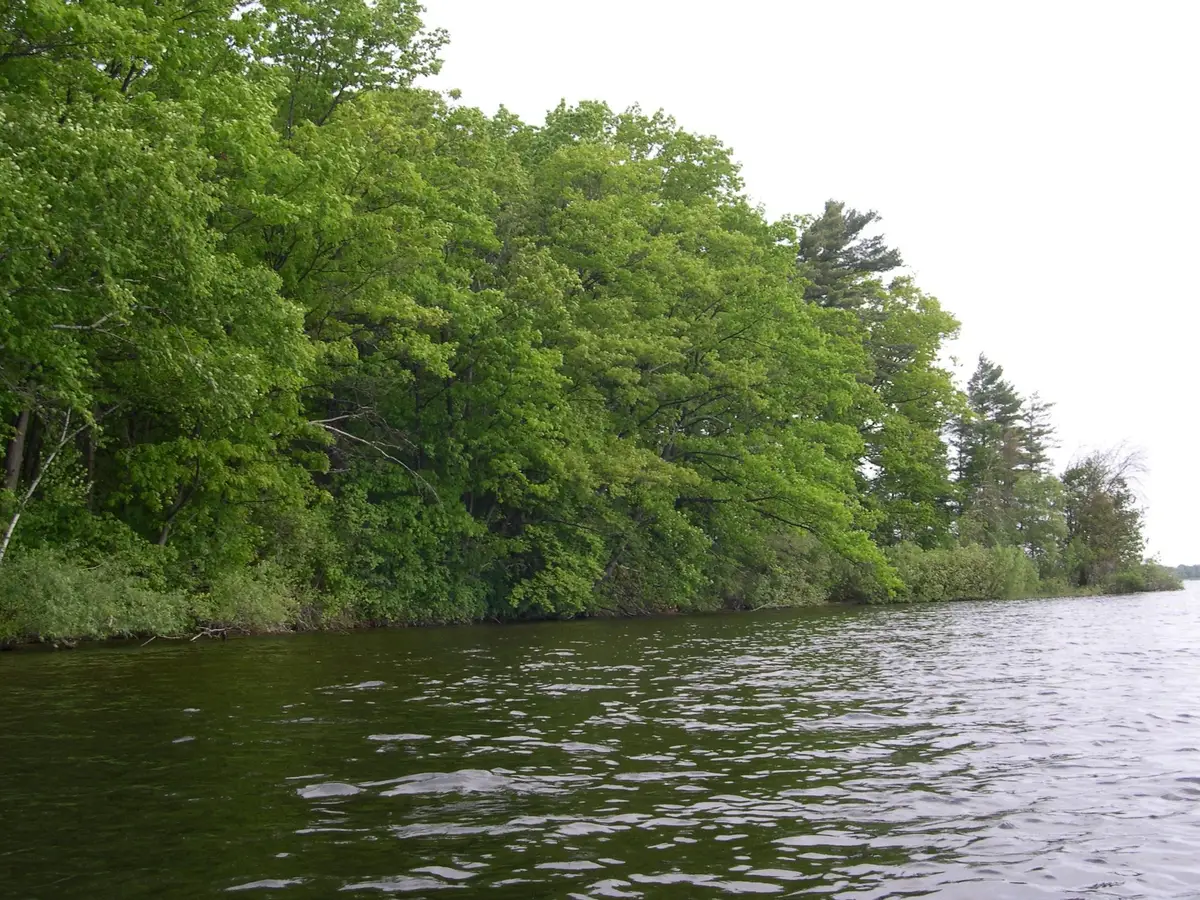 1573 Edgewater, Traverse City, MI 49684 - #1