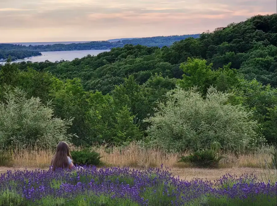 1461 N Eagle, Lake Leelanau, MI 49653 - #3