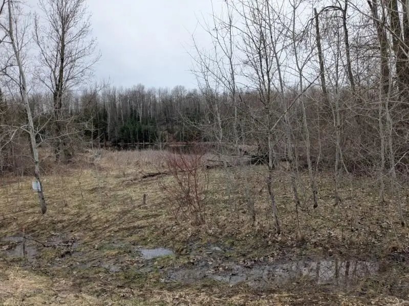 00 Lakeview, Hale, MI 48739 - #1