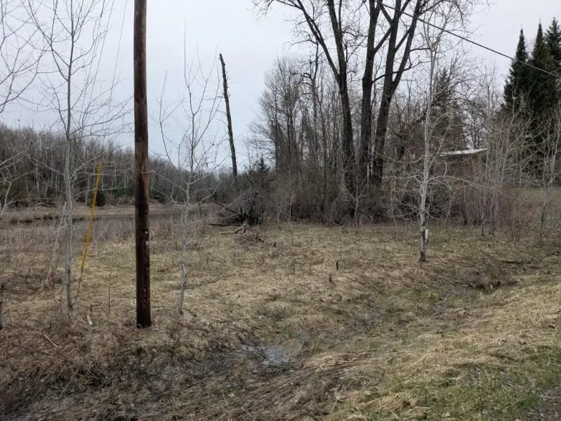 00 Lakeview, Hale, MI 48739 - #2