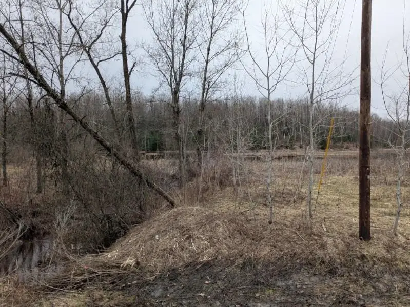 00 Lakeview, Hale, MI 48739 - #3