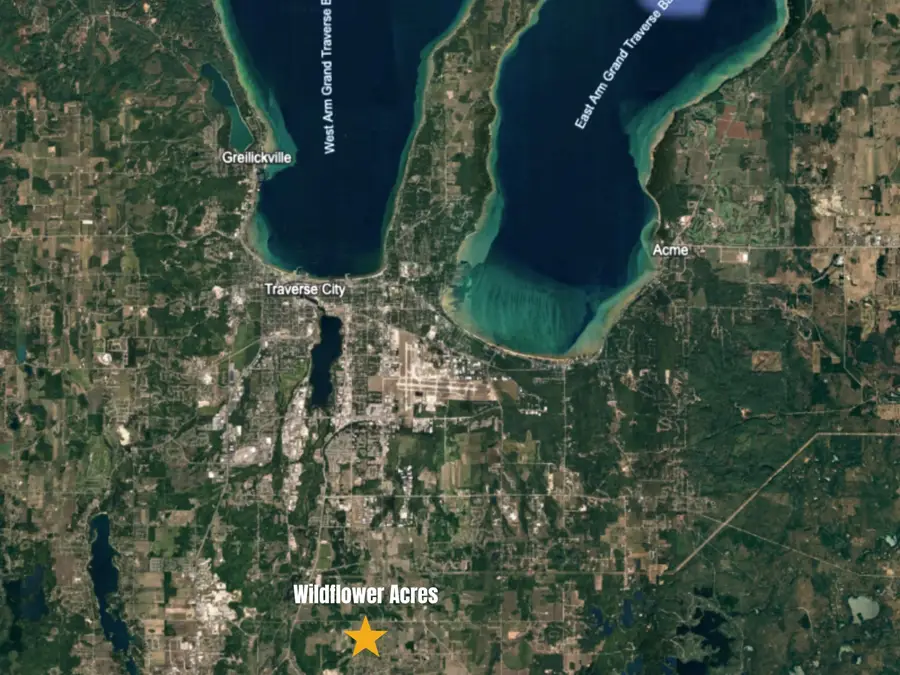 1165 Aster, Traverse City, MI 49696 - #2