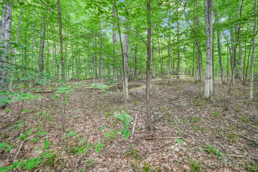 V/L S Coleman, Maple City, MI 49664 - #3