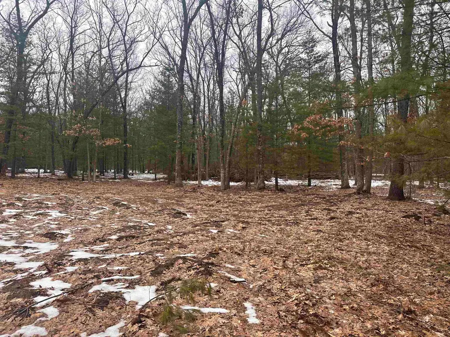 8616 Katie, Baldwin, MI 49304 - #3