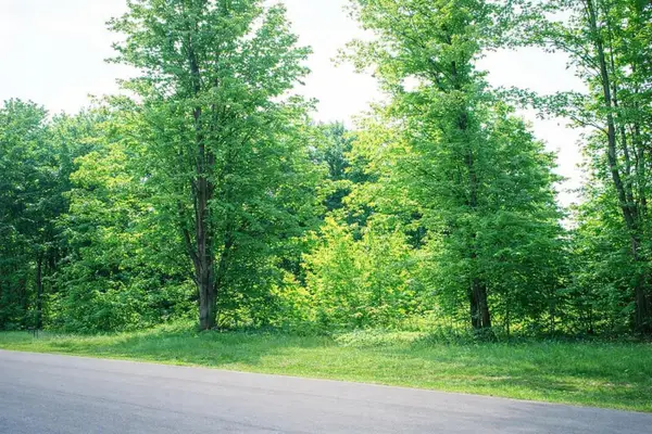 8886 Cedar Creek, Petoskey, MI 49770