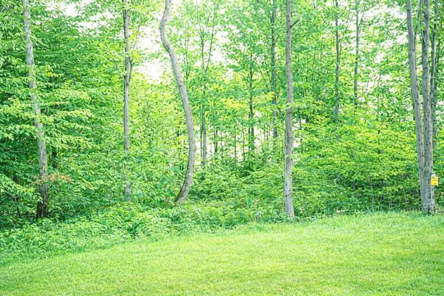 8877 Cedar Creek, Petoskey, MI 49770 - #2
