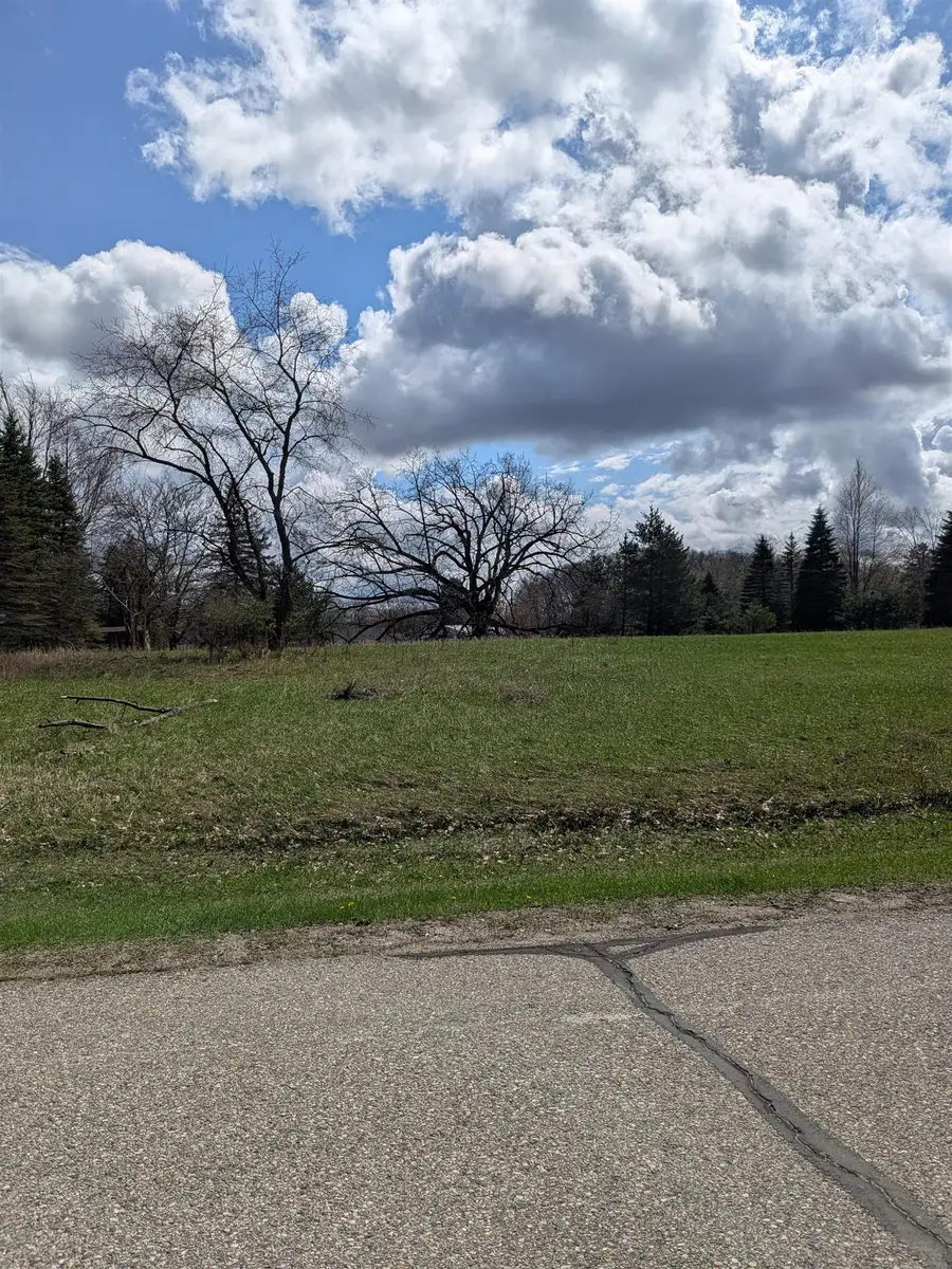 1095 Lincoln, Lake Isabella, MI 48893 - #2