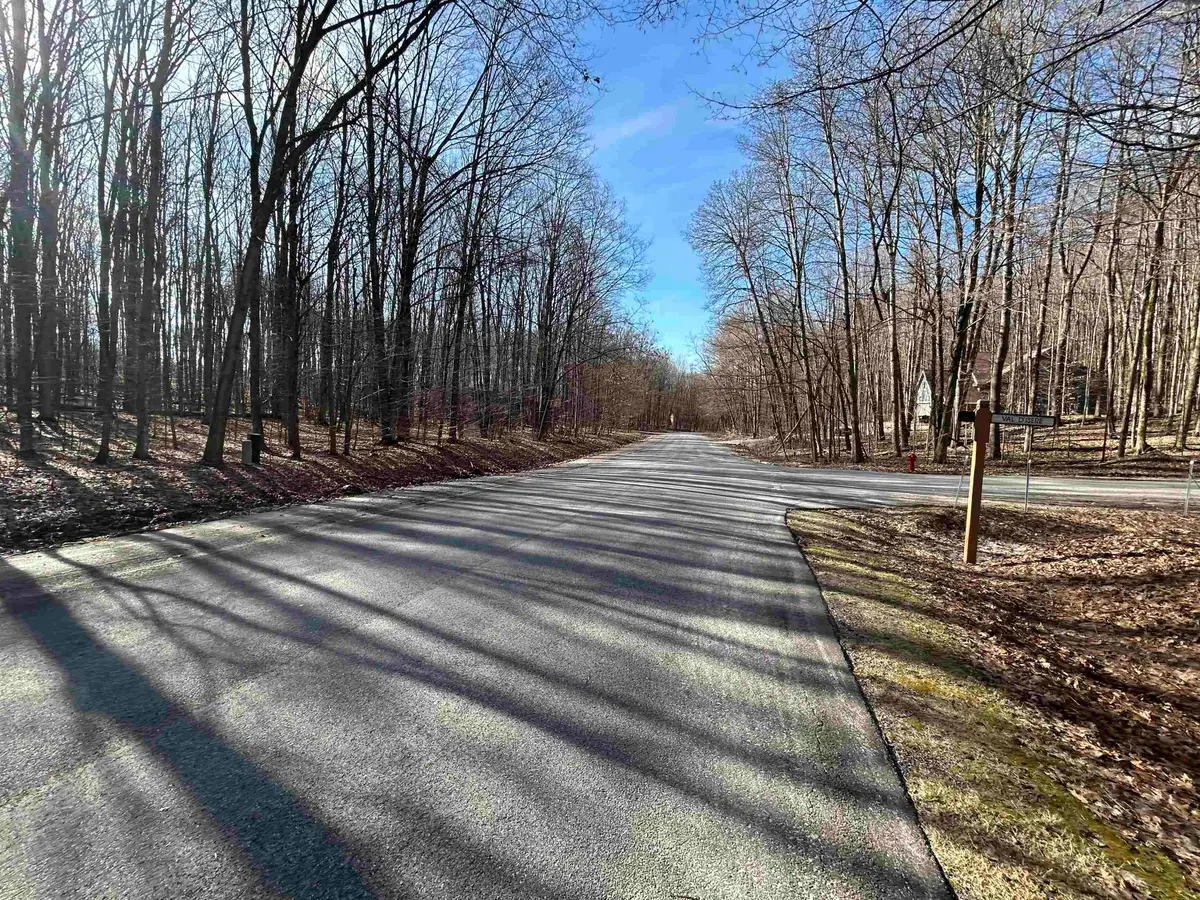 Lot 11 Heideldorf, Bellaire, MI 49615 - #1