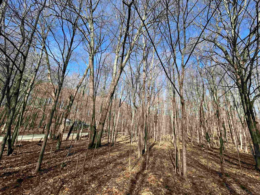 Lot 11 Heideldorf, Bellaire, MI 49615 - #2