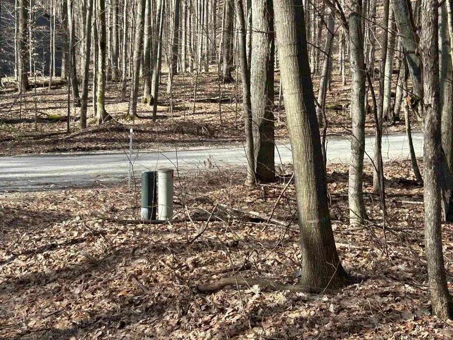 Lot 11 Heideldorf, Bellaire, MI 49615 - #3