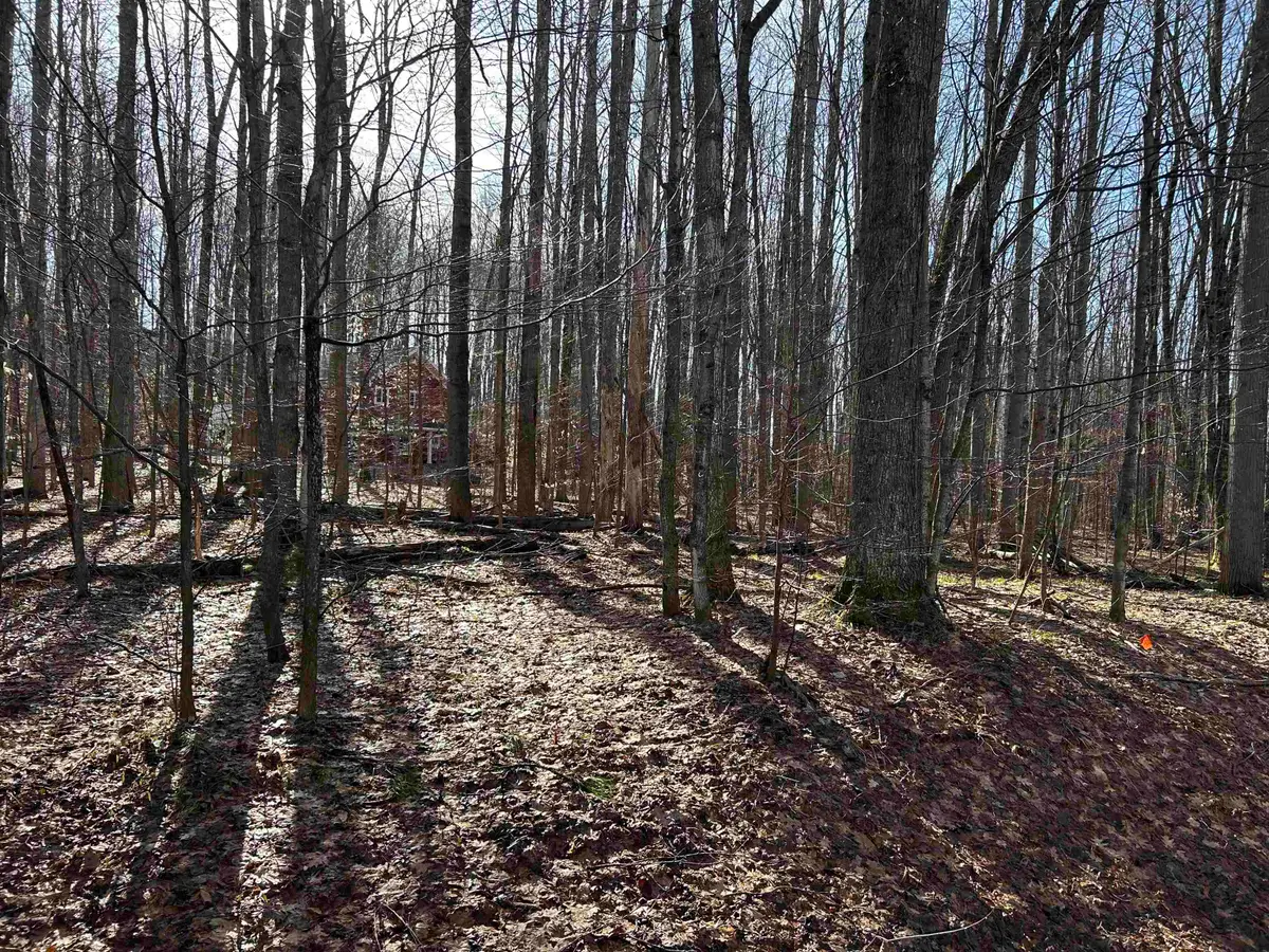 Lot 39 Schutzen, Bellaire, MI 49615 - #1