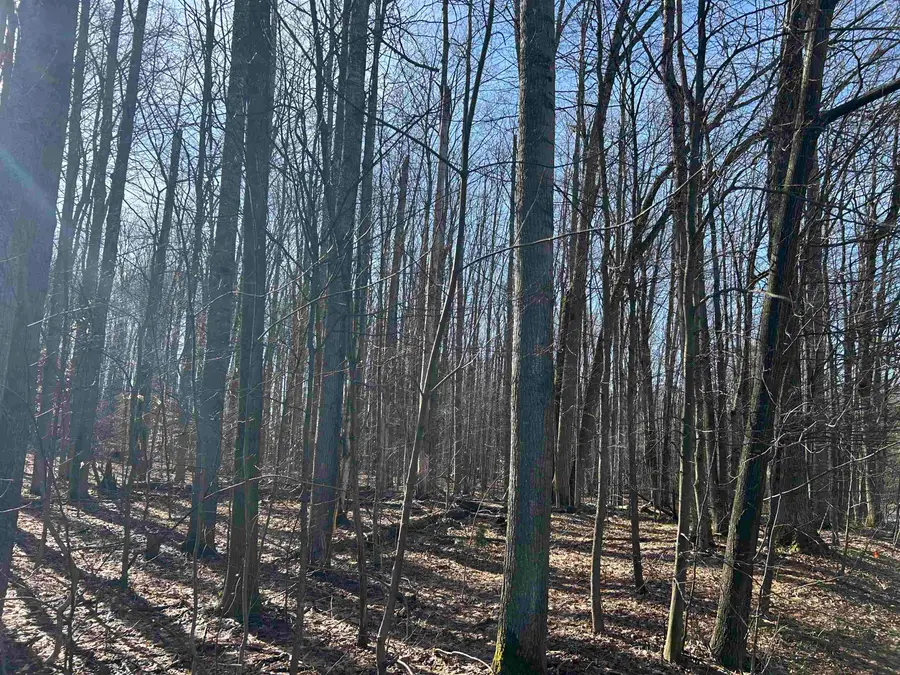 Lot 39 Schutzen, Bellaire, MI 49615 - #2