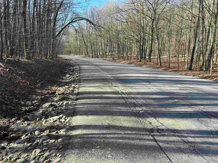Lot 39 Schutzen, Bellaire, MI 49615 - #3