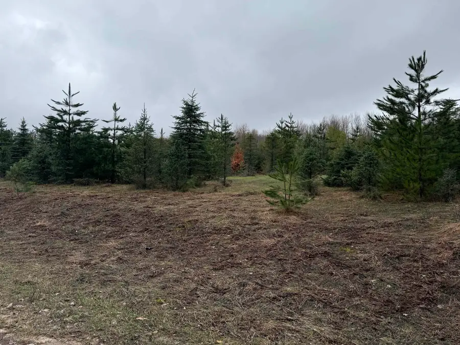 N Vandermeulen, Lake City, MI 49651 - #2