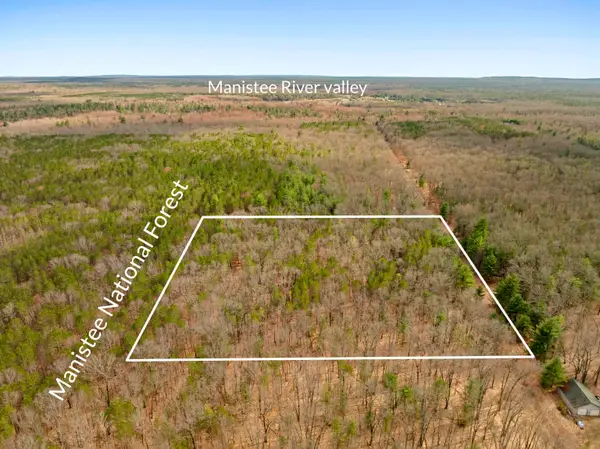 Maple, Brethren, MI 49619