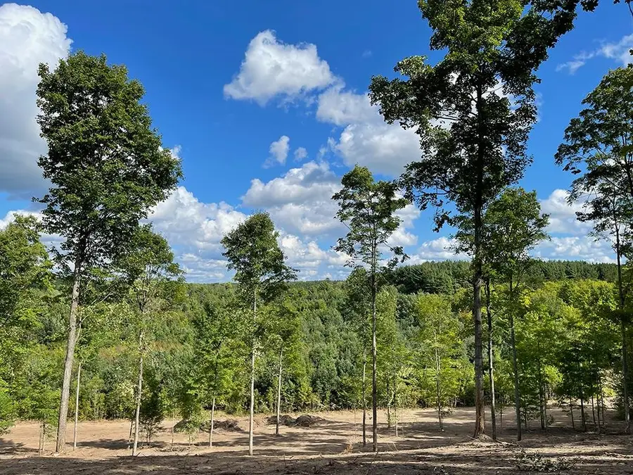 5072 Paradise, Kingsley, MI 49649 - #3