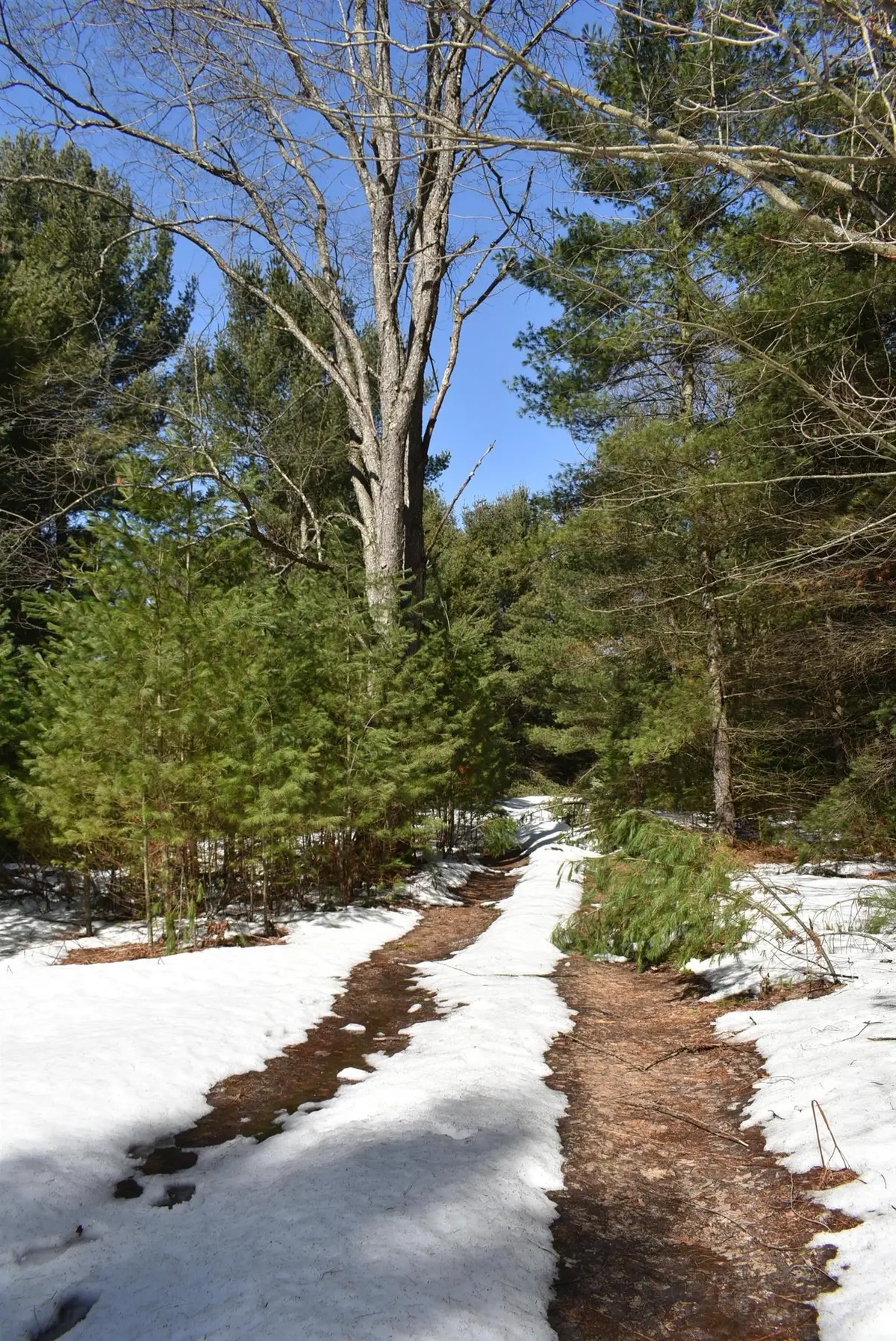 Roop, Kingsley, MI 49649 - #1