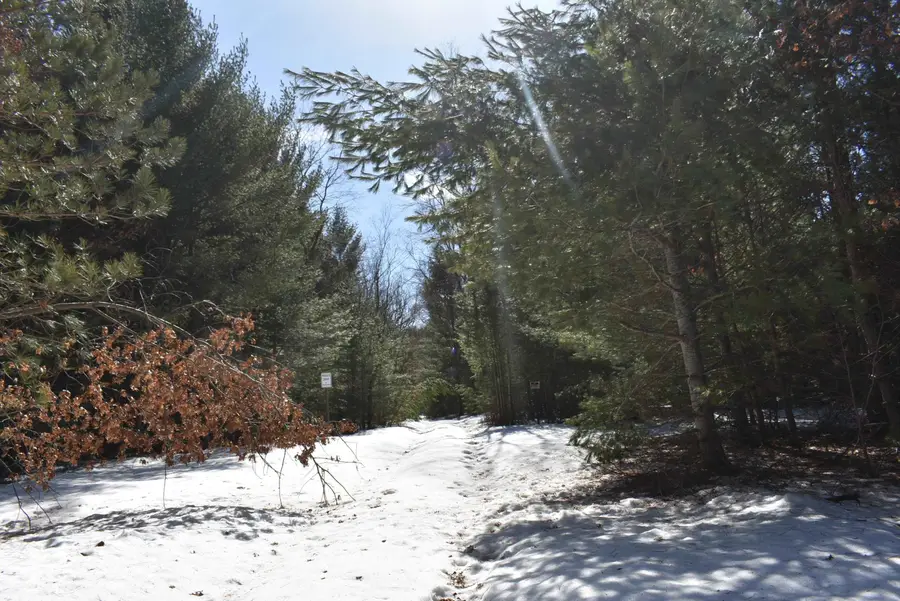 Roop, Kingsley, MI 49649 - #2