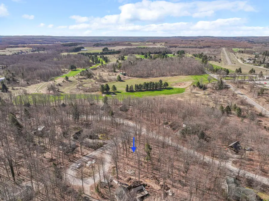 Lot 10 Linden, Cedar, MI 49621 - #2