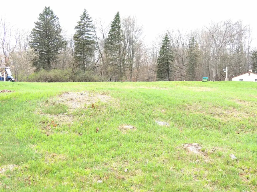 1062 Castle, Lake Isabella, MI 48893 - #3
