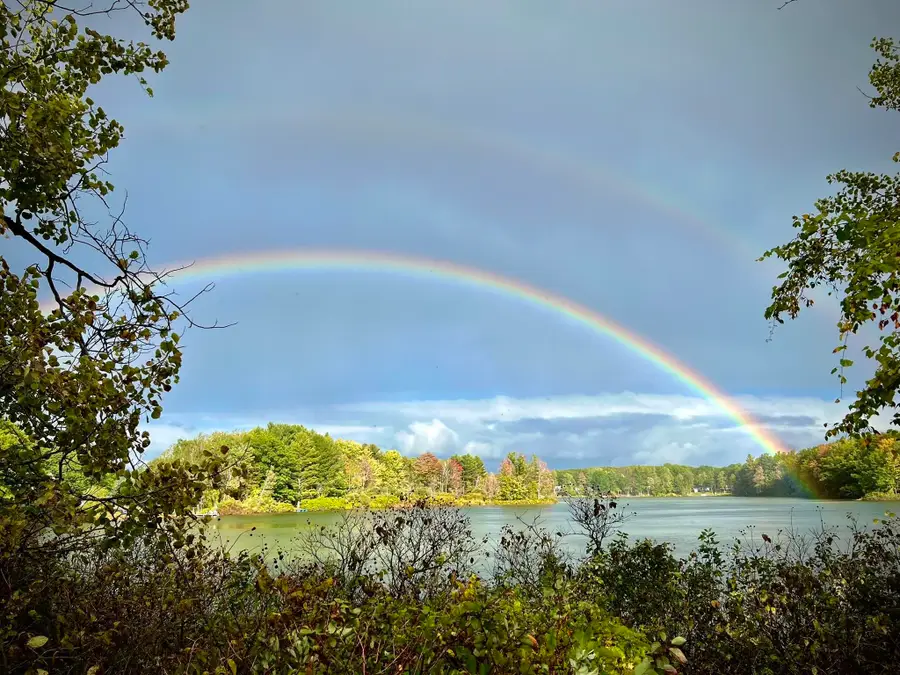 6802 Brandow Woods, Traverse City, MI 49685 - #3