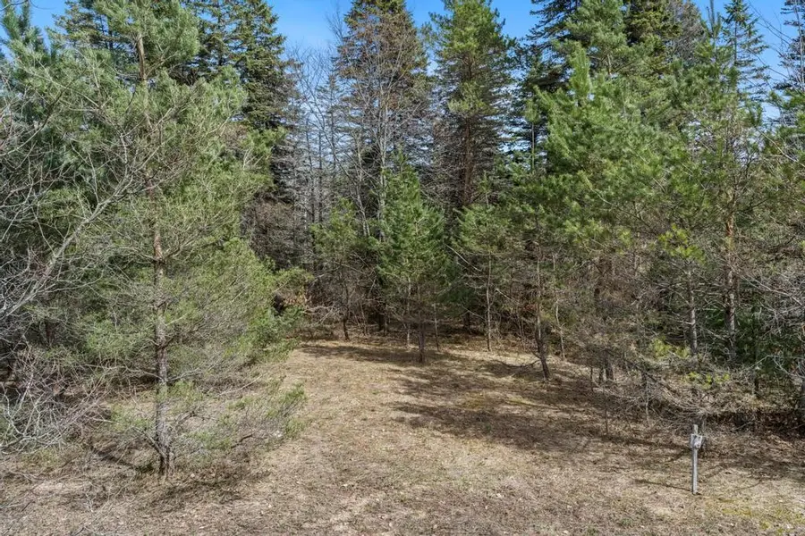 V/L Johnson, Mancelona, MI 49659 - #2