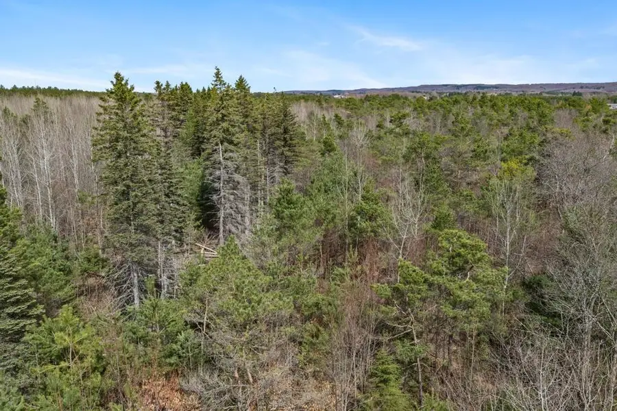 V/L Johnson, Mancelona, MI 49659 - #3