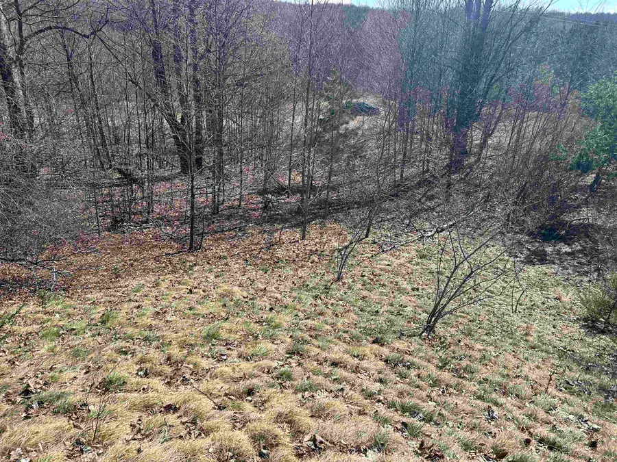 Lot 2 Fox, Bellaire, MI 49615 - #3