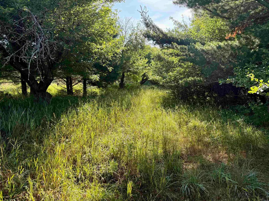 15 S Westview, Empire, MI 49630 - #2