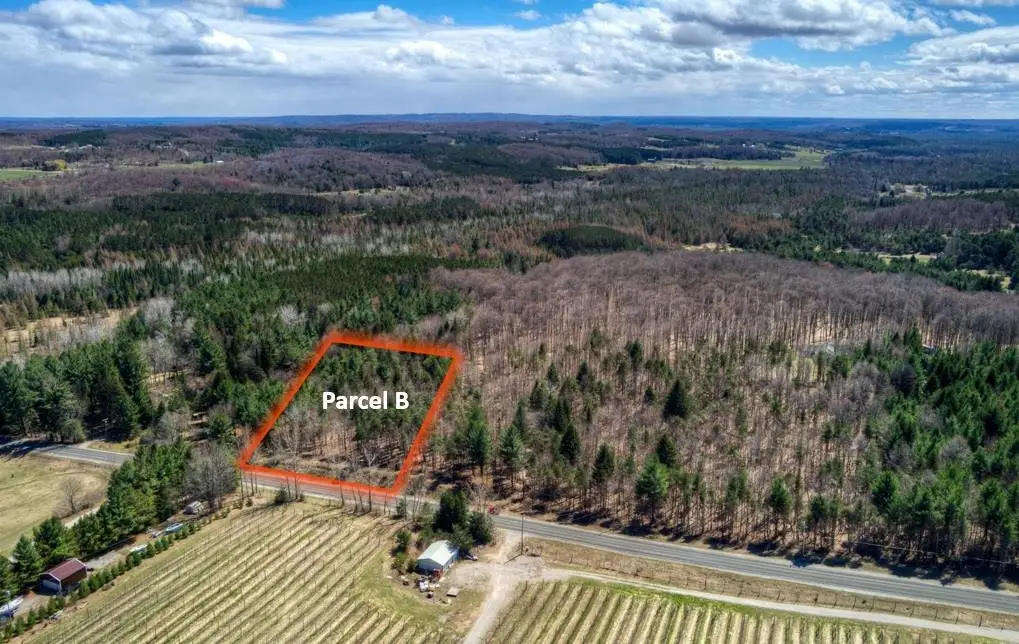 Parcel A E Bodus, Cedar, MI 49621 - #1