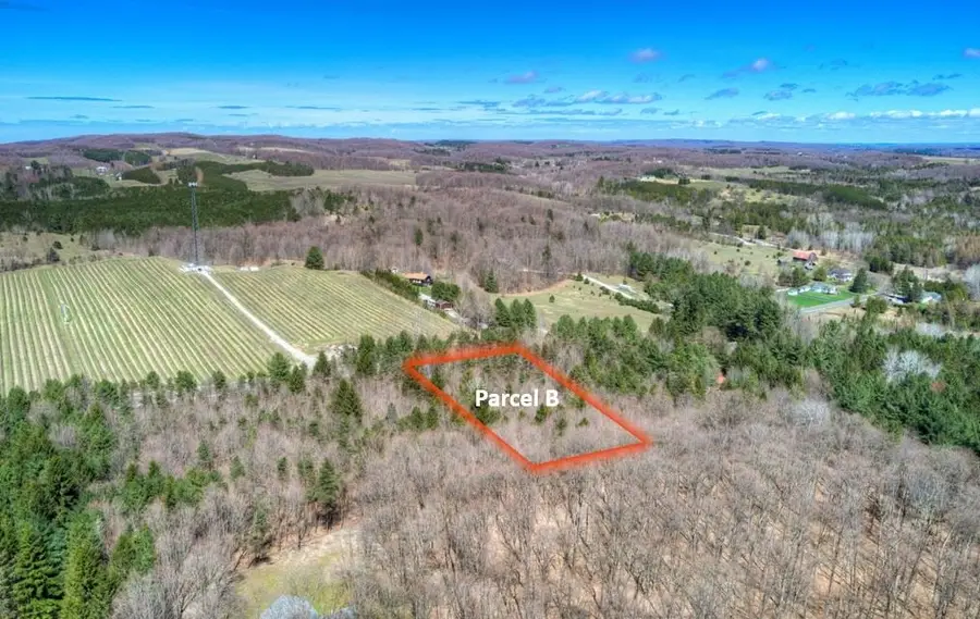 Parcel A E Bodus, Cedar, MI 49621 - #2