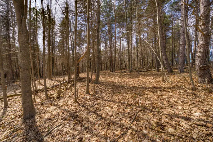 Parcel A E Bodus, Cedar, MI 49621 - #3