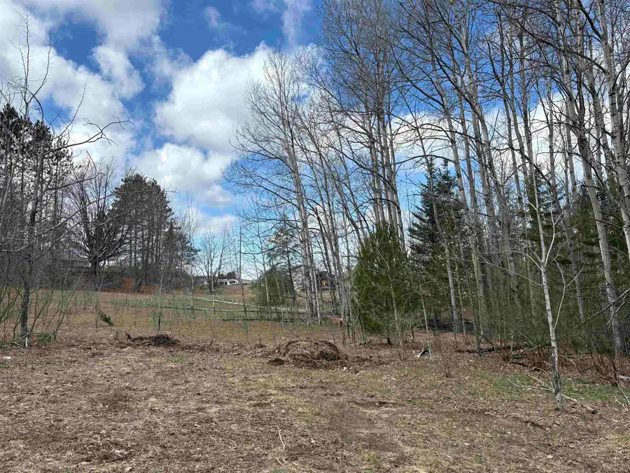 2450 N Marshall, Honor, MI 49640 - #3