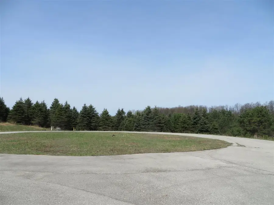 4 Spruce Hollow, Fife Lake, MI 49633 - #3