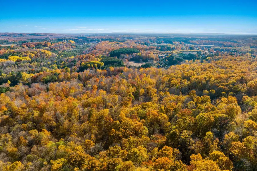 1452 Case, Benzonia, MI 49616 - #2