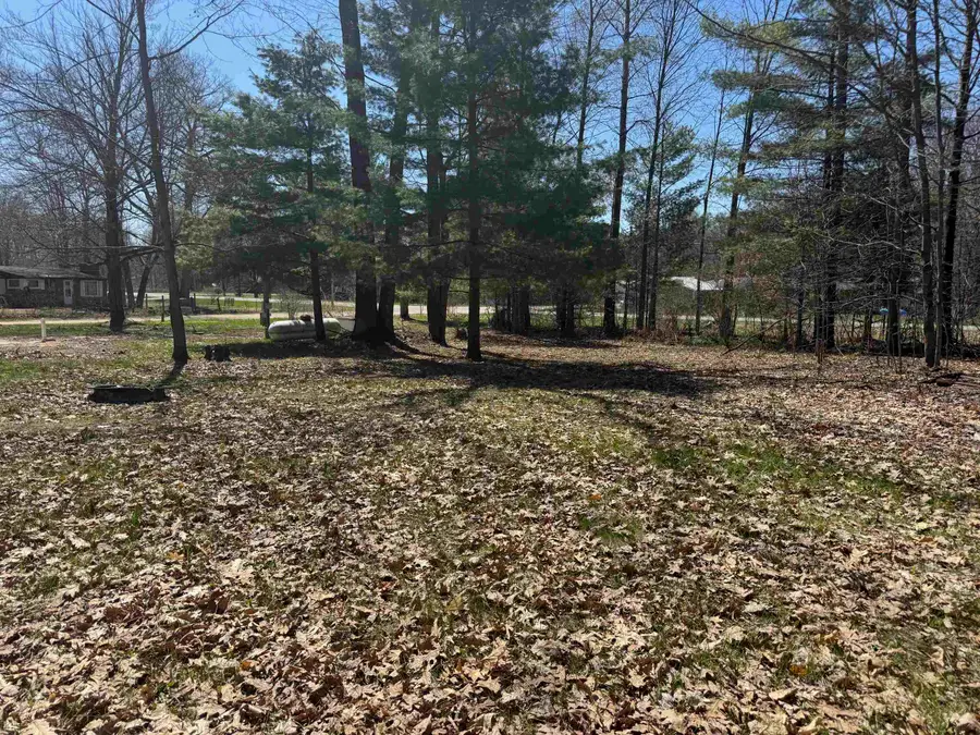 9375 Cook, Lake, MI 48632 - #2