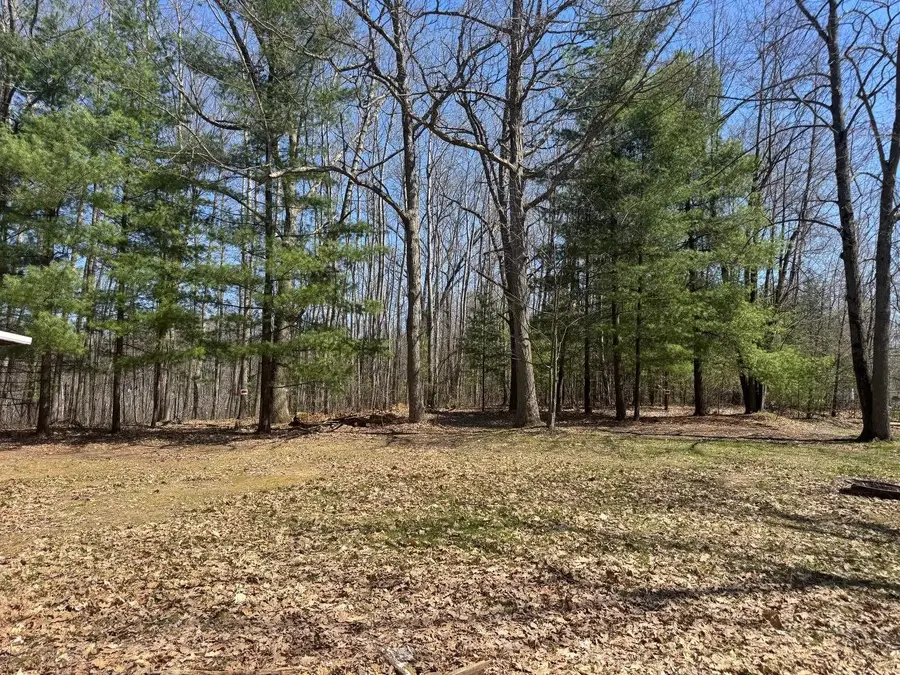 9375 Cook, Lake, MI 48632 - #3