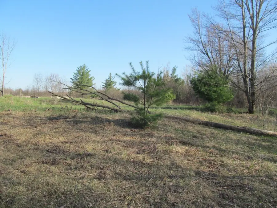 '0' 90th, Evart, MI 49631 - #3