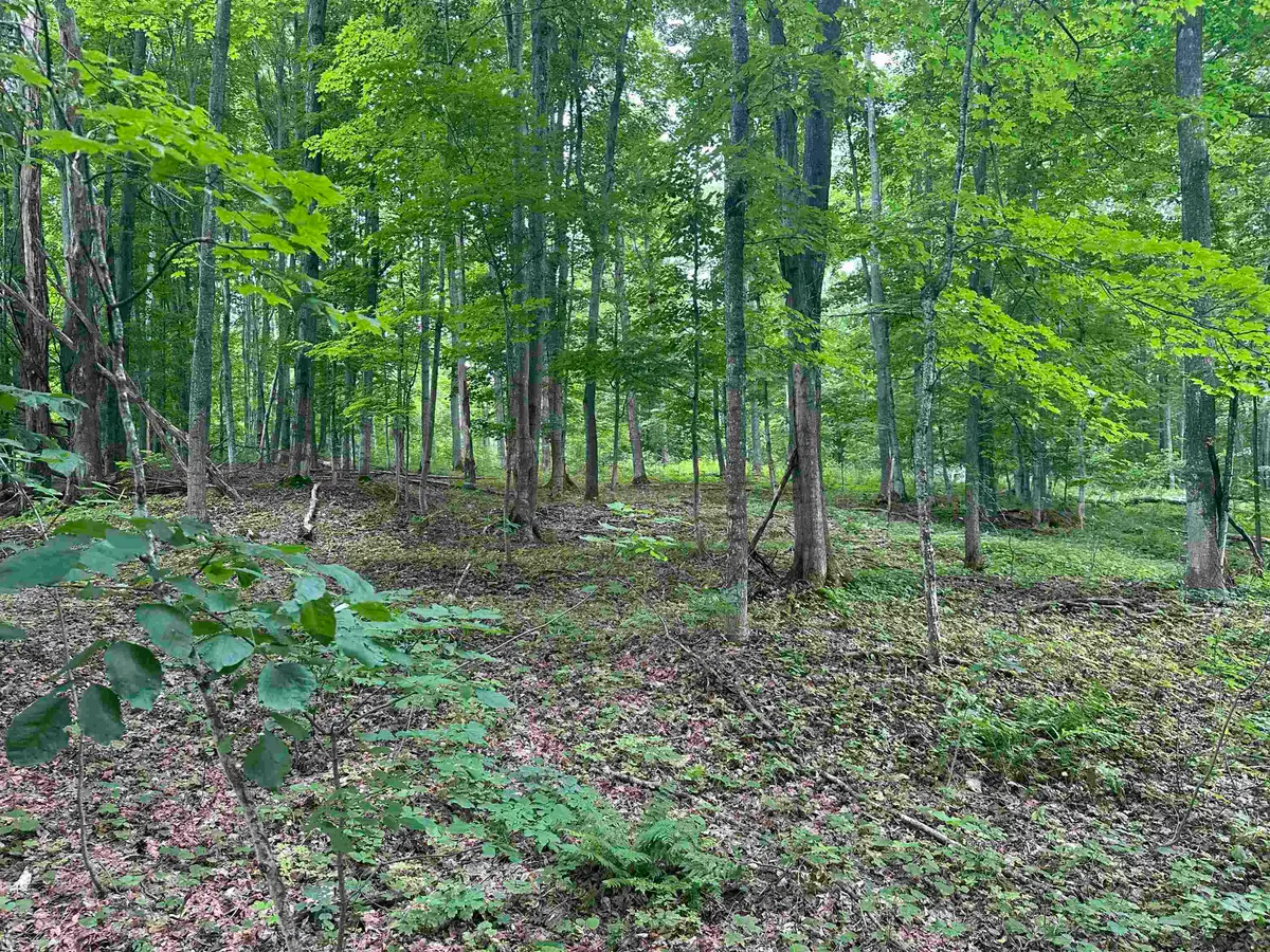 11599 S Tower, Maple City, MI 49664 - #1