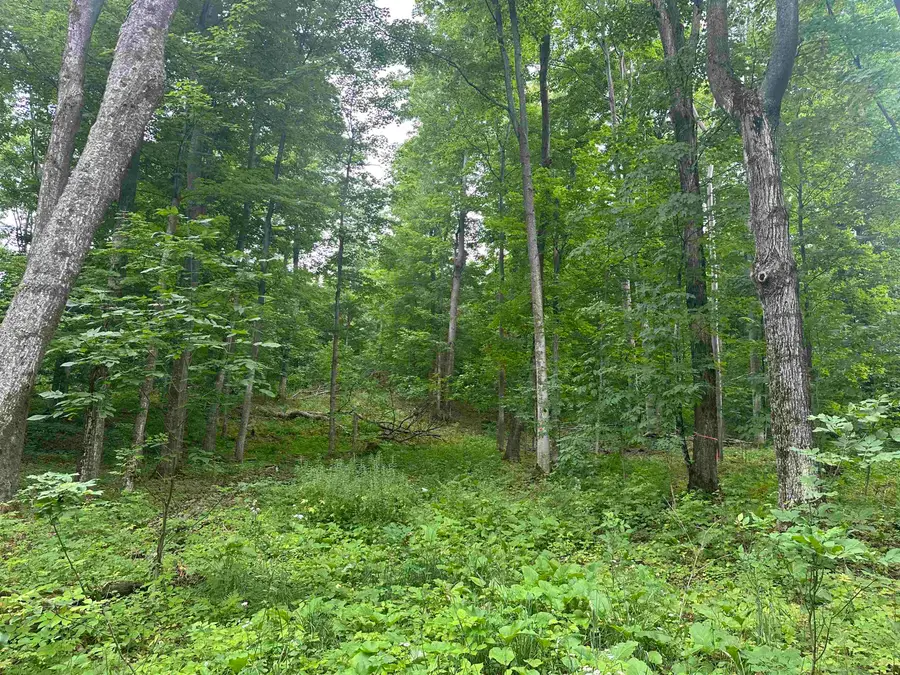 11599 S Tower, Maple City, MI 49664 - #3