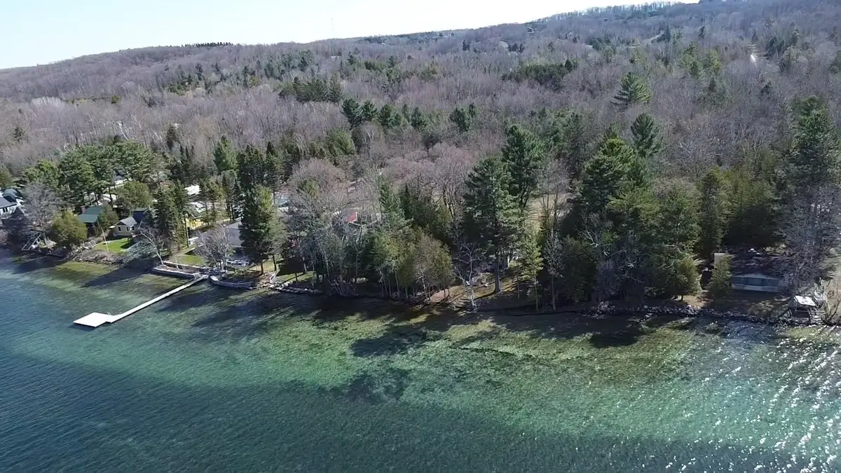 0 Willow, Central Lake, MI 49622 - #1