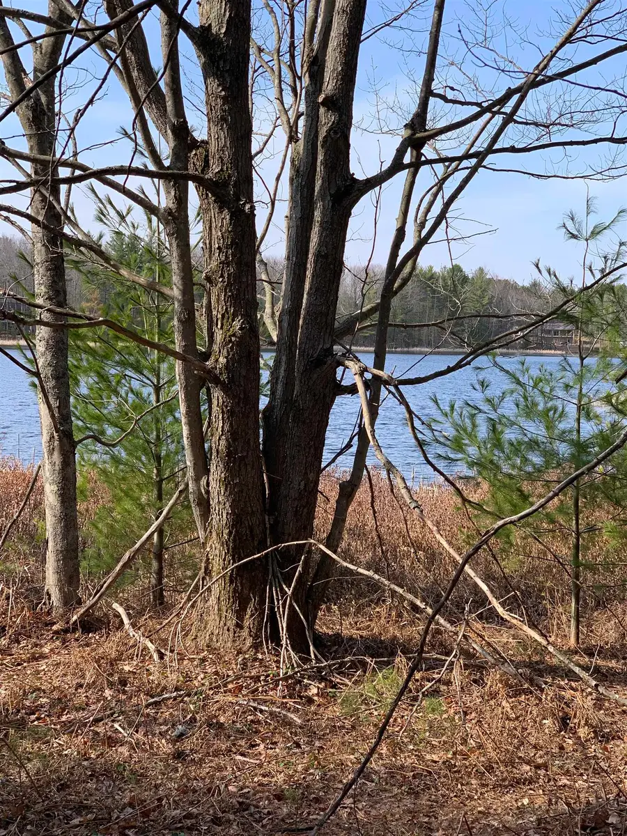 312 Blue Heron, Kalkaska, MI 49646 - #2