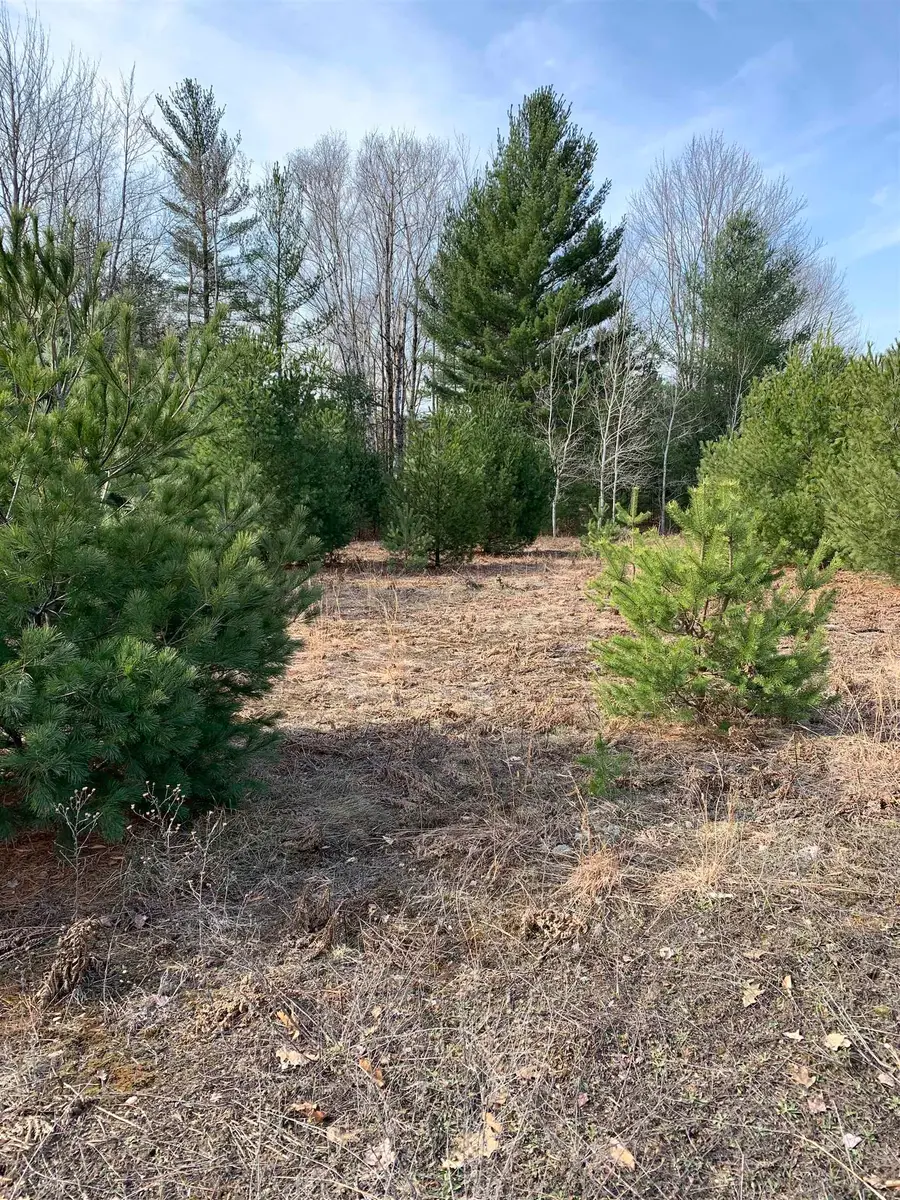 312 Blue Heron, Kalkaska, MI 49646 - #3