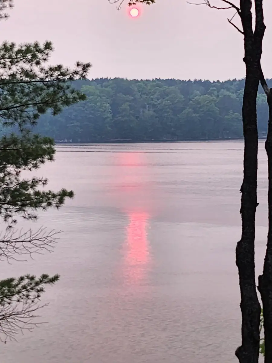 9251 Gedman, Mancelona, MI 49659 - #2