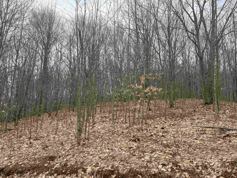 Deerfield, Boyne Falls, MI 49713 - #3