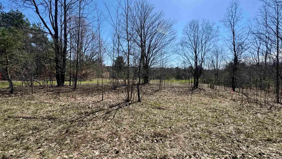 00 N 1, Buckley, MI 49620 - #3