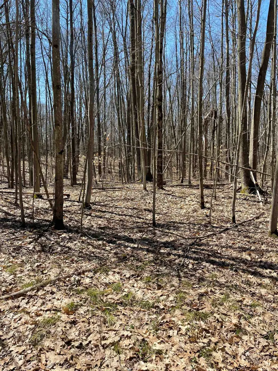 8895 Grandview, Reed City, MI 49677 - #2