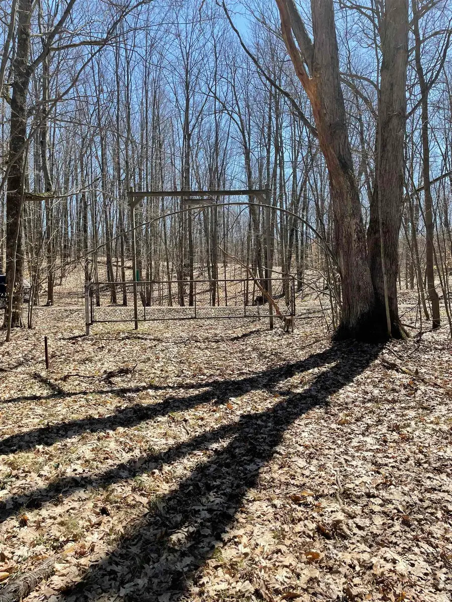 8895 Grandview, Reed City, MI 49677 - #3