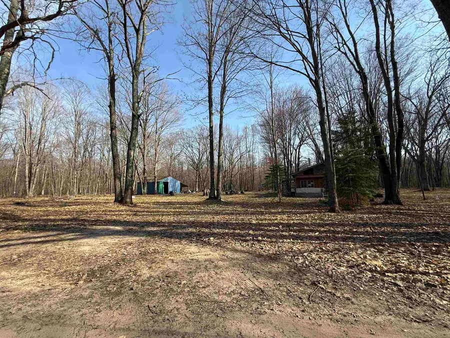 11221 SE Behlke, Fife Lake, MI 49633 - #2